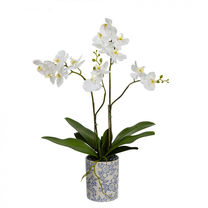 Orchid in Hampton Pot 74cm