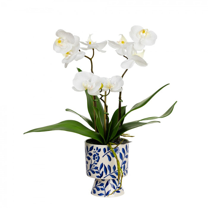 Orchid in Hampton Vase 72cm