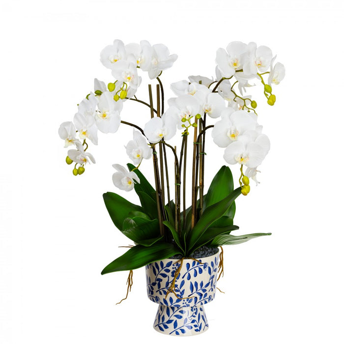 Orchid in Hampton Vase 83cm