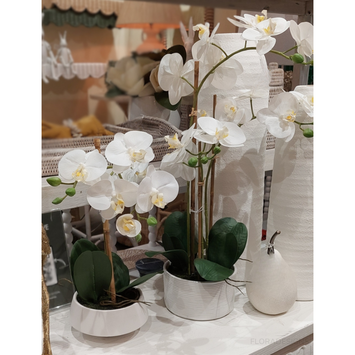 White Orchid In White Pot Small 38cm Set of 3