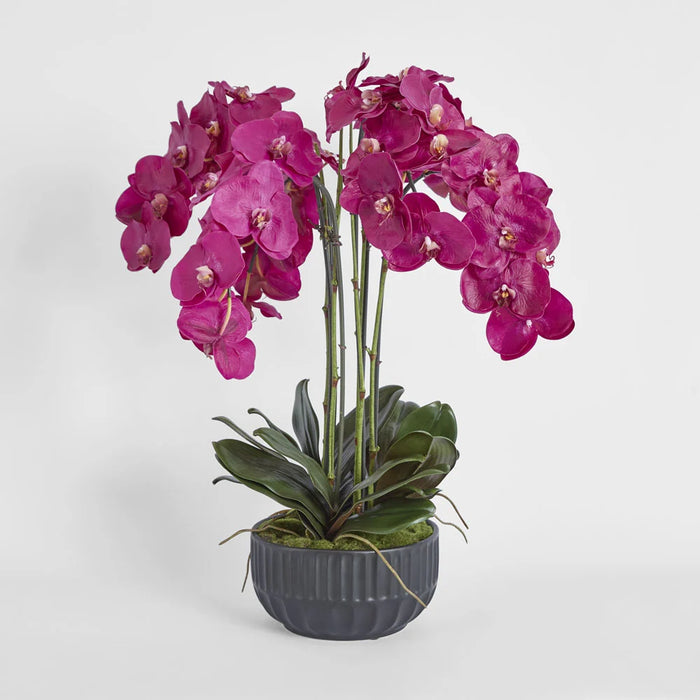 Oreana Arrangement 80cm Pink in Black Pot