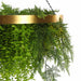 Imitation Gold Artificial Hanging Green Wall Disc (Limited Edition) Foliage 80cm - FLORA DESIGNS
