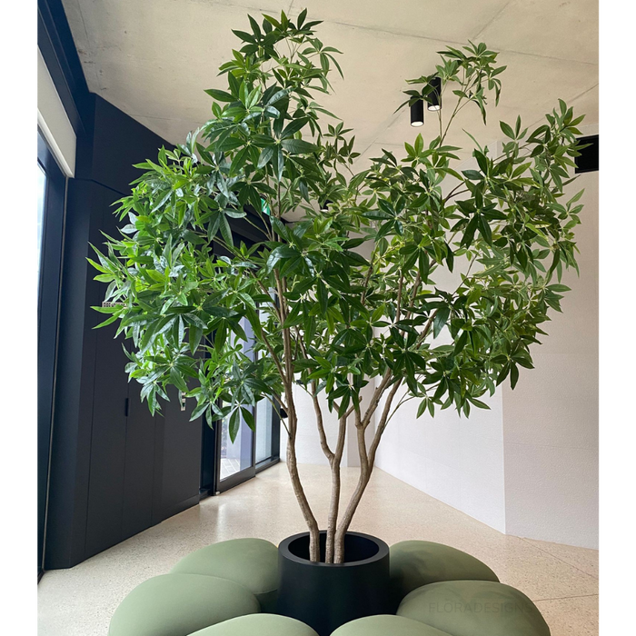 Pachira Aquatica Tree Green 290cm