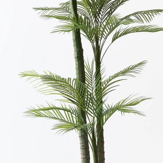 Palm Areca Green 220cm Pack of 2