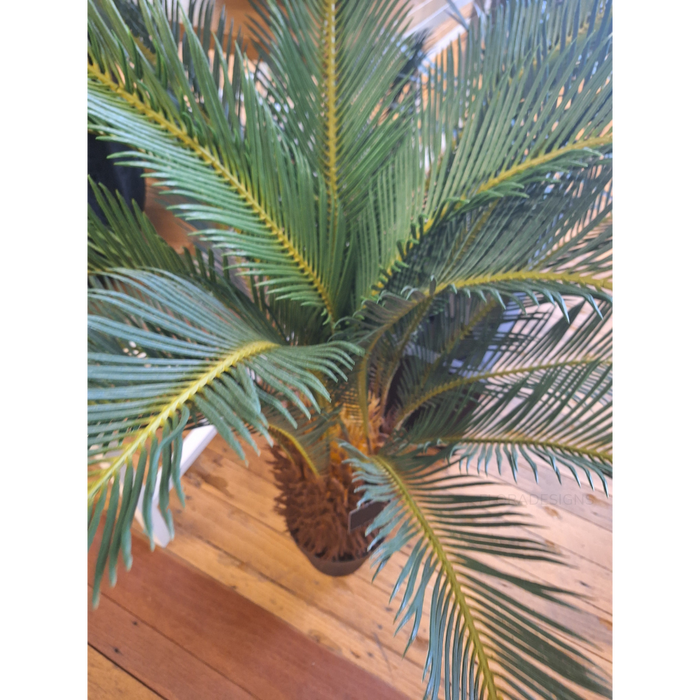 Palm Cycad Green 110cm Pack of 2
