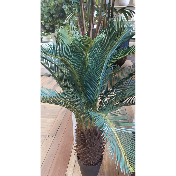 Palm Cycad Green 110cm Pack of 2