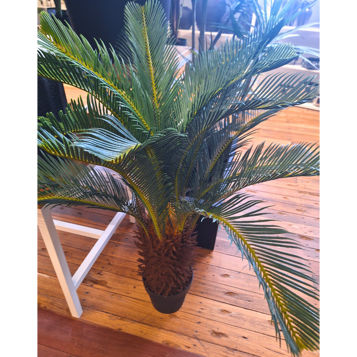 Palm Cycad Green 110cm Pack of 2