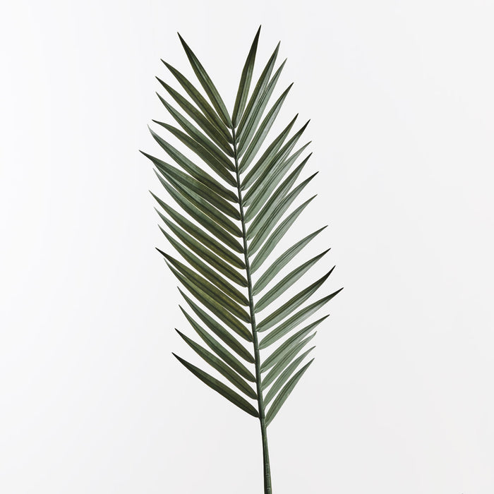 Palm Kentia Leaf Green 147cm - Pack of 6