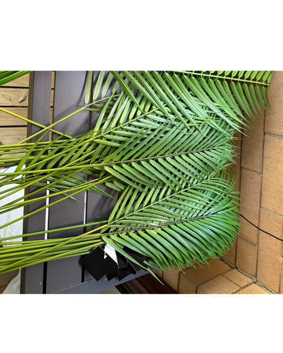 Palm Phoenix Leaf Green 76cm Pack of 24