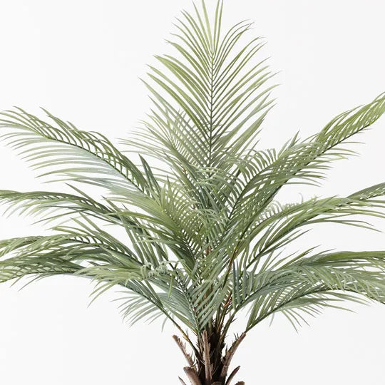 Palm Phoenix Tree Green Grey 180cm Pack of 2