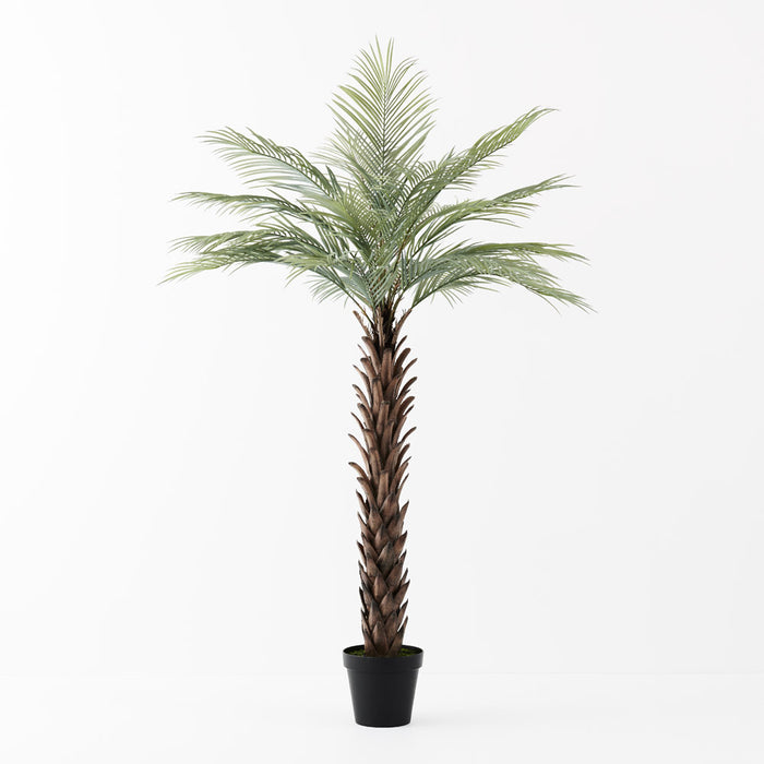 Palm Phoenix Tree Green Grey 180cm Pack of 2