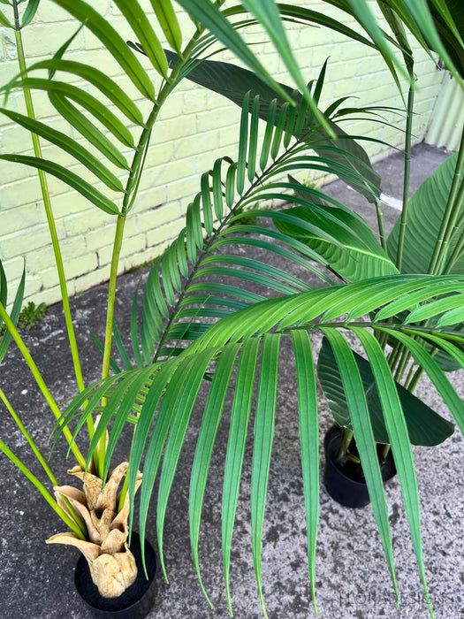 Palm Tree 180cm