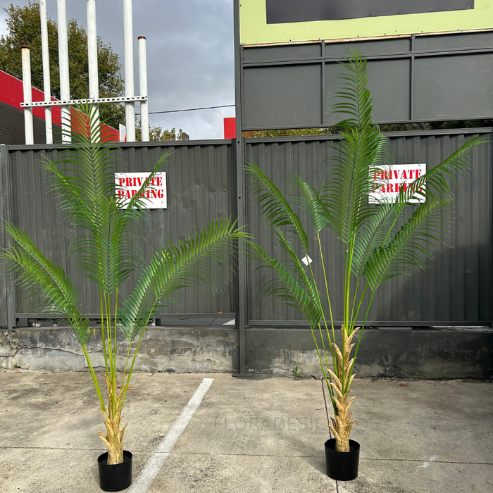 Palm Tree 240cm