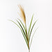 Pampas Grass Spray Cream  116cm - Pack of 12