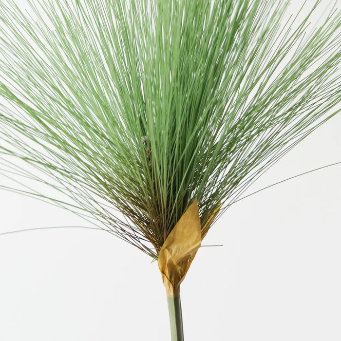 Papyrus Grass 108cm Green - Pack of 12