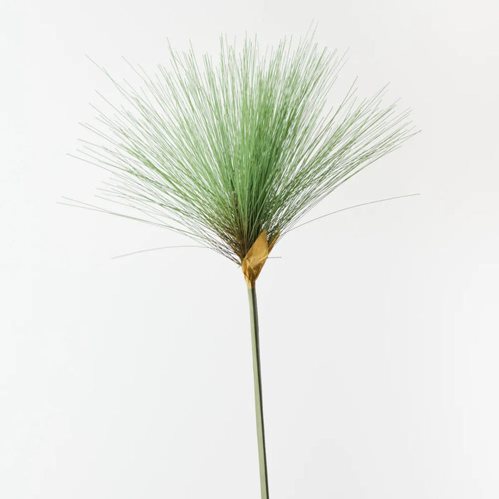 Papyrus Grass 108cm Green - Pack of 12