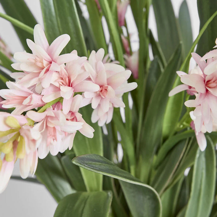 Pauline Arrangement 75cm Pink in Taupe Pot