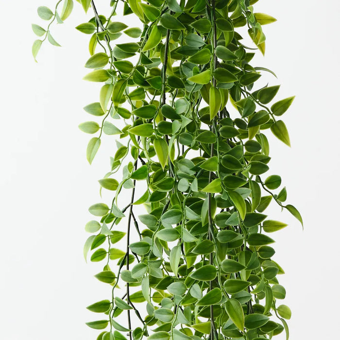Pea Leaf Hanging Bush Green 105cm Set of 6