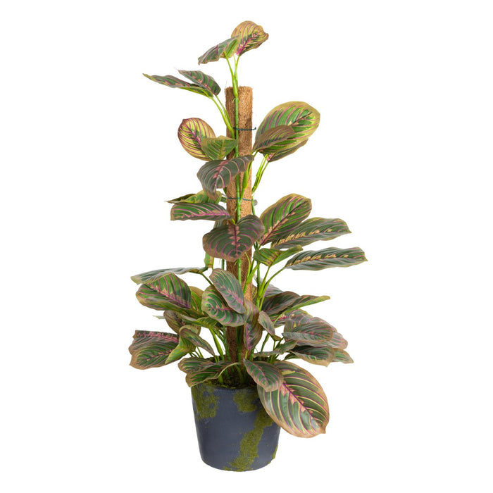 Peacock Bush On Pole – 72cm