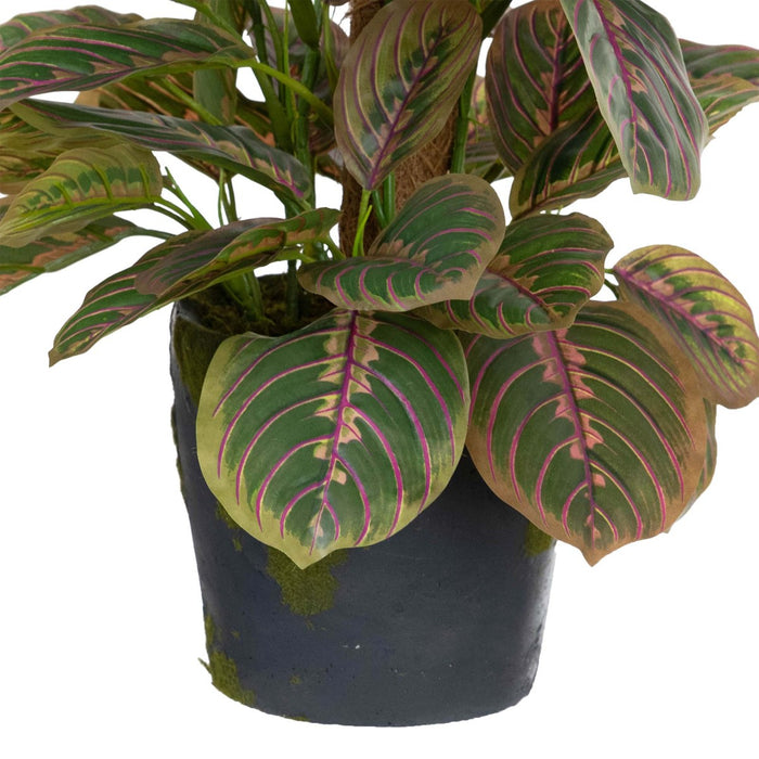 Peacock Bush On Pole – 73cm