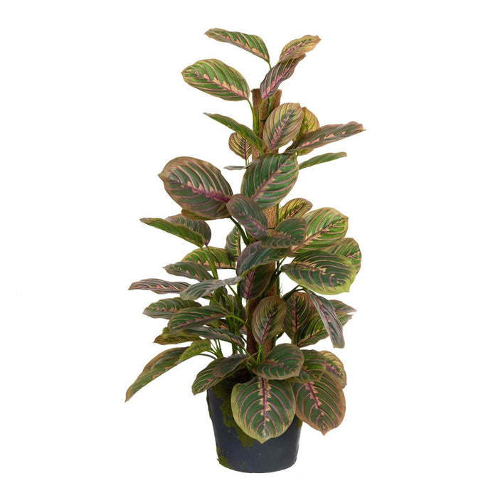 Peacock Bush On Pole – 73cm