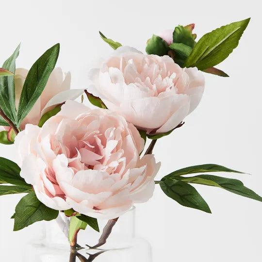 Peony Mix Light Pink in Vase 31cm Pack of 4