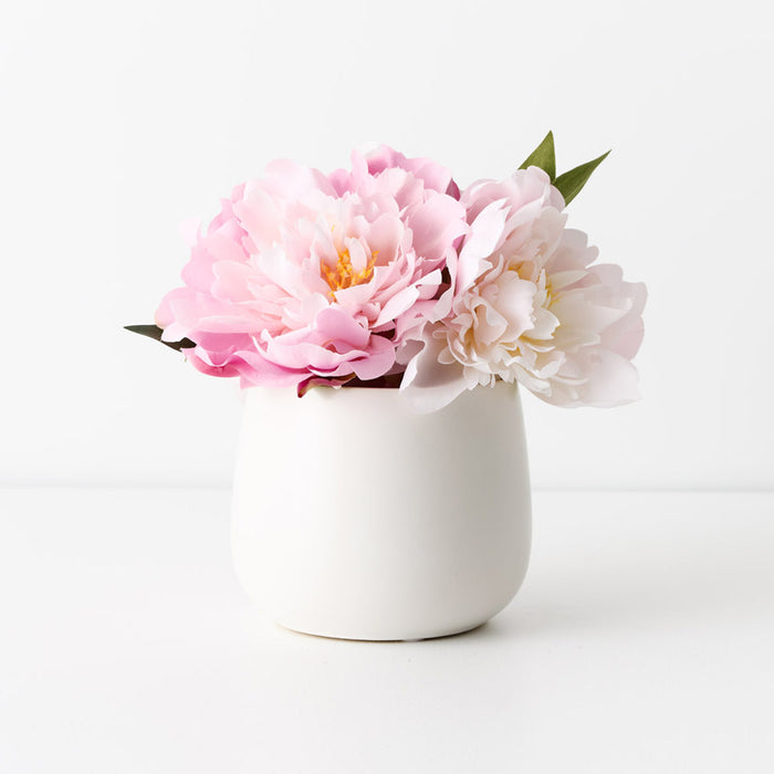 Peony Mix in Pot 22cm Pink