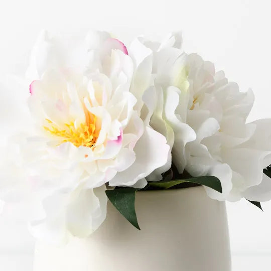 Peony Mix in Pot 22cm White