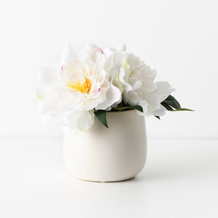 Peony Mix in Pot 22cm White