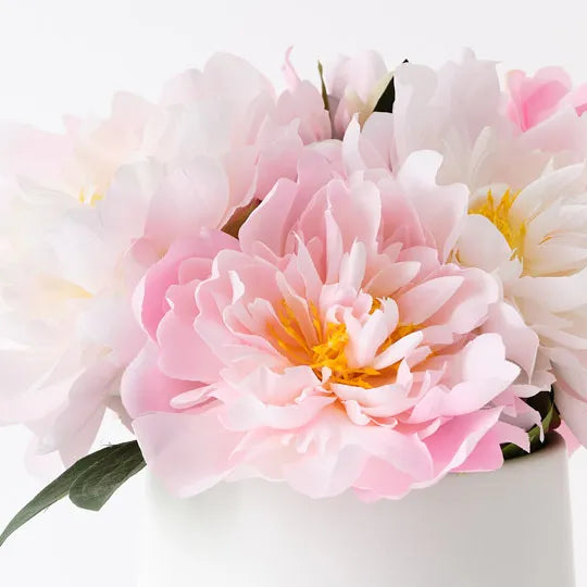 Peony Mix in Pot 30cm Pink