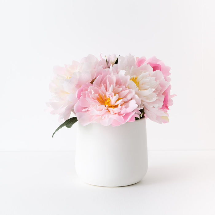 Peony Mix in Pot 30cm Pink