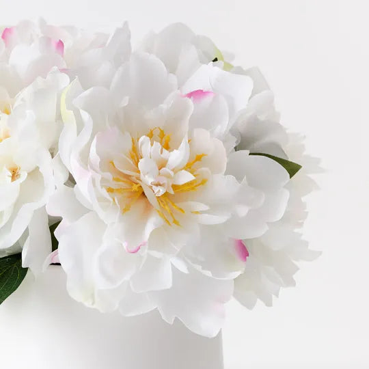 Peony Mix in Pot 30cm White