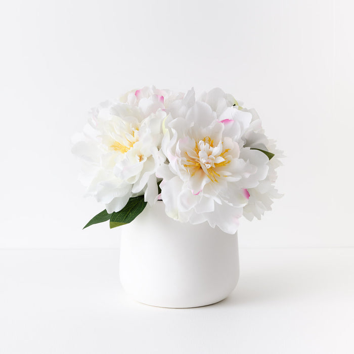 Peony Mix in Pot 30cm White