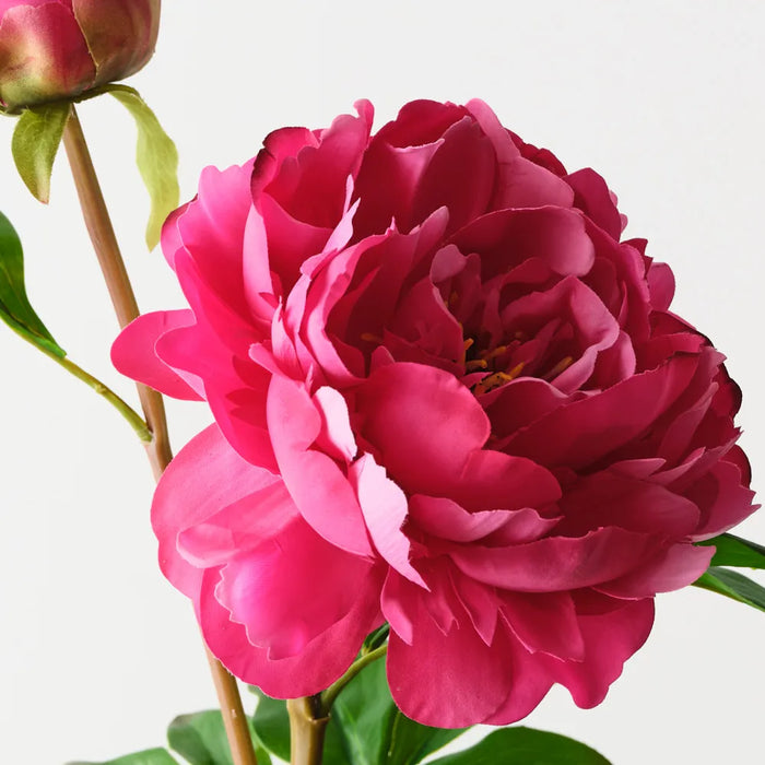 Peony Spray Fuschia Pink, 62cm - Pack of 12