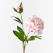 Peony Spray Light Pink 61cm - Pack of 12