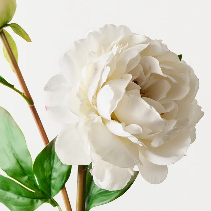 Peony Spray White, 62cm - Pack of 12