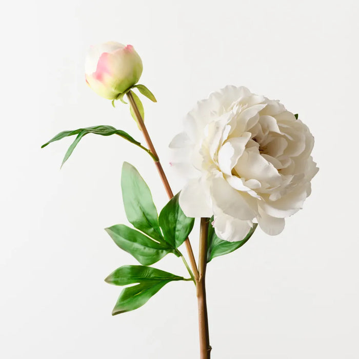 Peony Spray White, 62cm - Pack of 12
