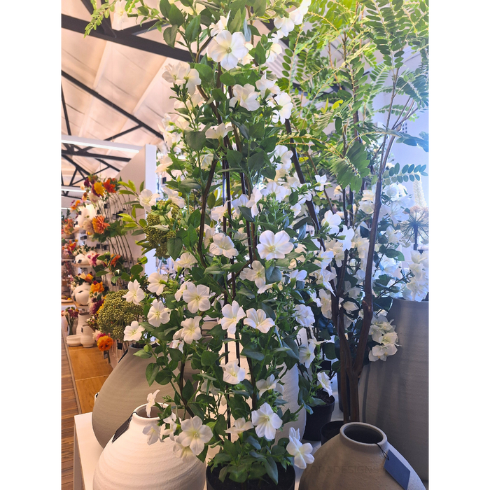 Petunia Climbing Plant White 135cm