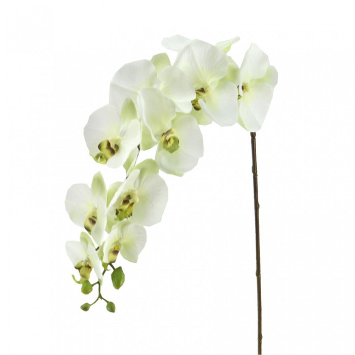 Phalaenopsis Orchid Spray Apple Green 105cm Set of 6