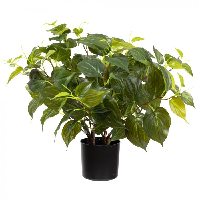 Philo Mican Bush in Pot 48cm Green Set of 2