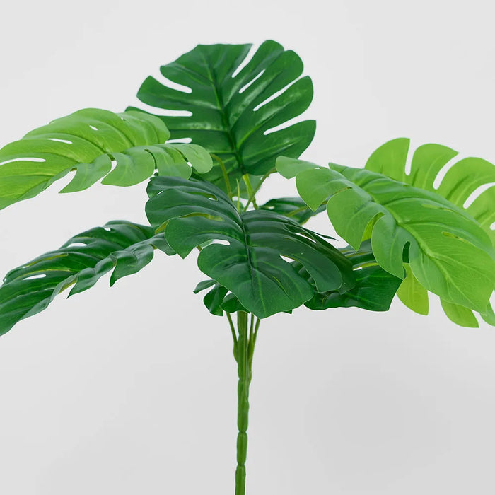 Philo Split Leaf Bush 35cm Green Pack of 12