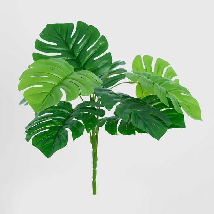 Philo Split Leaf Bush 35cm Green Pack of 12