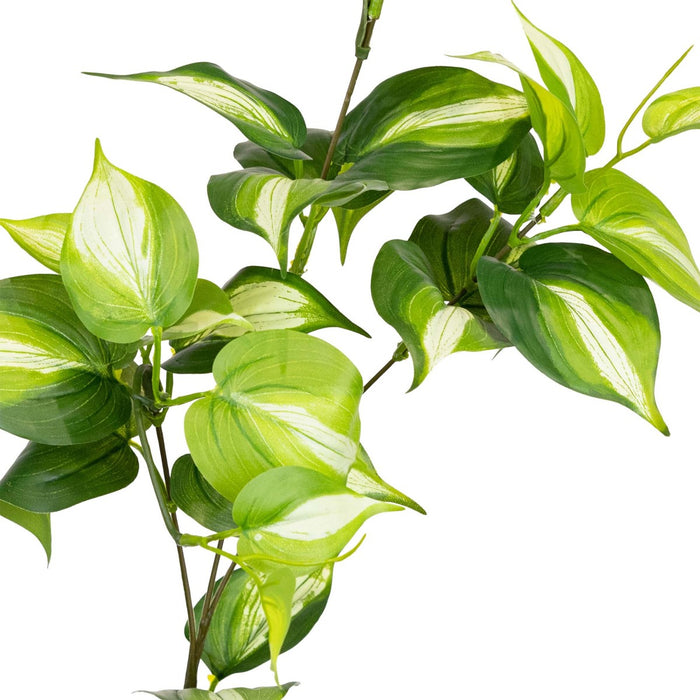 Philo Spray Green 75cm Pack of 12