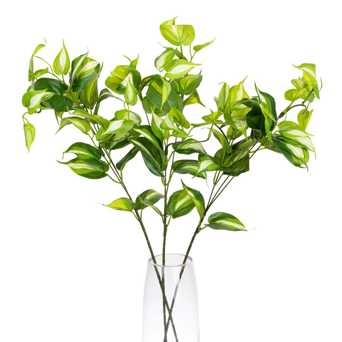 Philo Spray Green 75cm Pack of 12