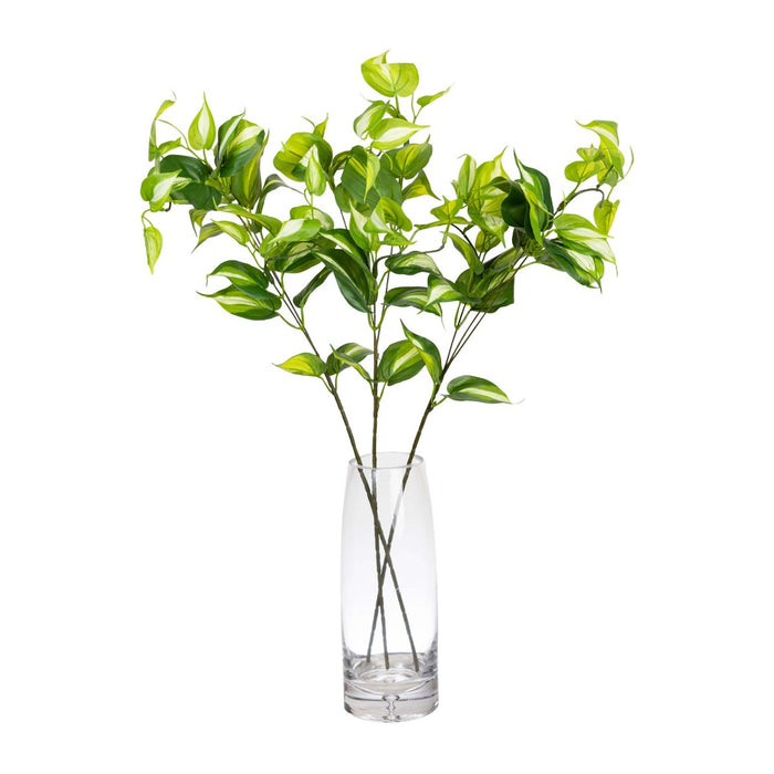 Philo Spray Green 75cm Pack of 12