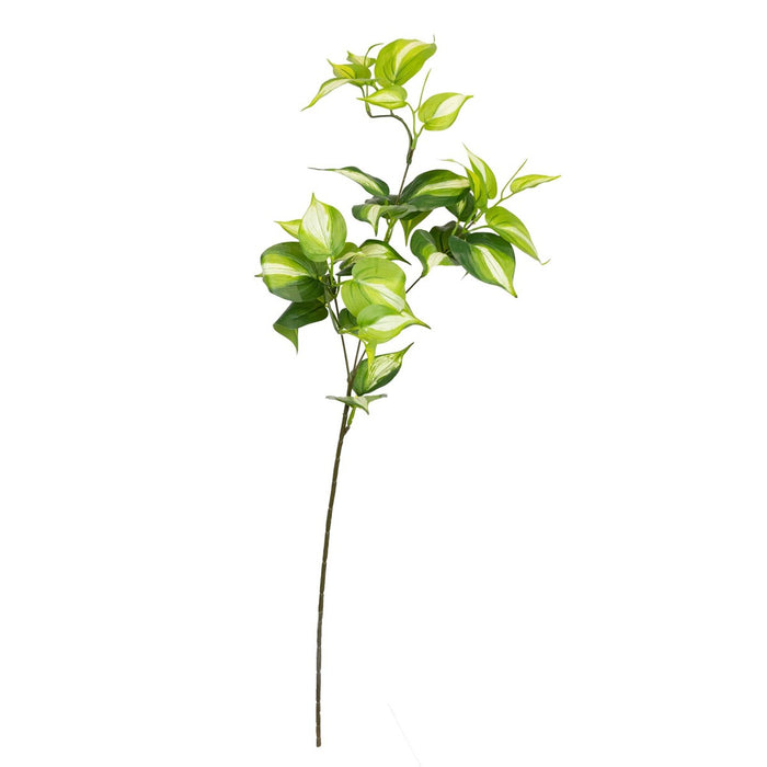 Philo Spray Green 75cm Pack of 12