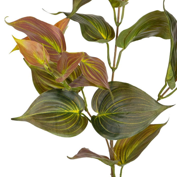 Philo Spray Mican Brown 75cm Pack of 12