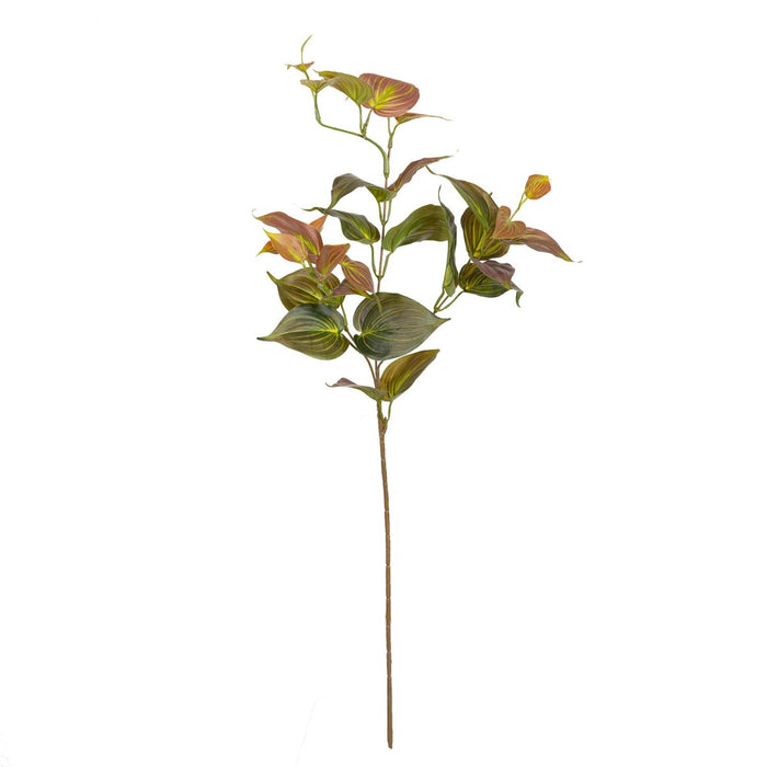 Philo Spray Mican Brown 75cm Pack of 12