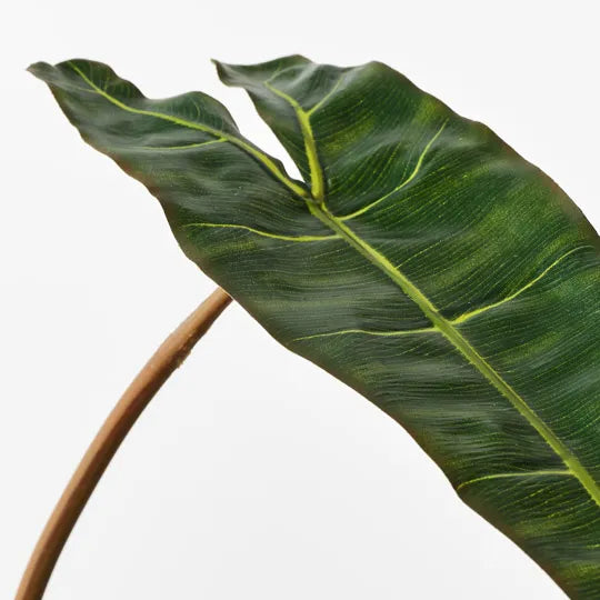 Philodendron Leaf Green 81cm Set of 12