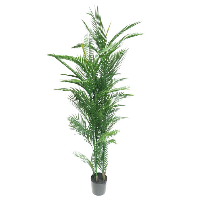 Phoenix Palm Tree Real Touch UV Resistant 180cm